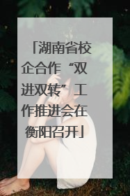 湖南省校企合作“双进双转”工作推进会在衡阳召开