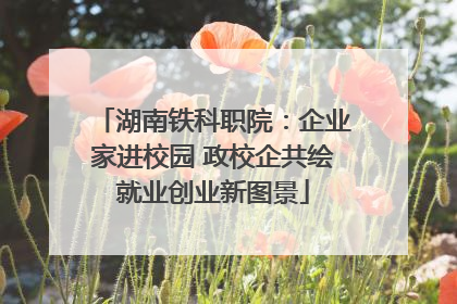 湖南铁科职院：企业家进校园 政校企共绘就业创业新图景