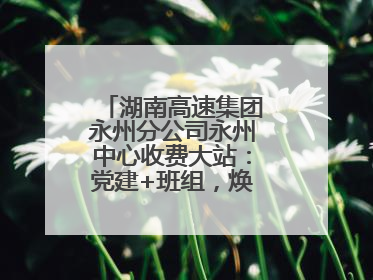 湖南高速集团永州分公司永州中心收费大站：党建+班组，焕发内在活力