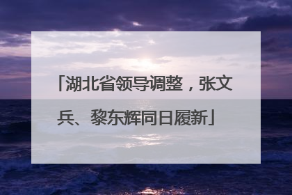 湖北省领导调整，张文兵、黎东辉同日履新