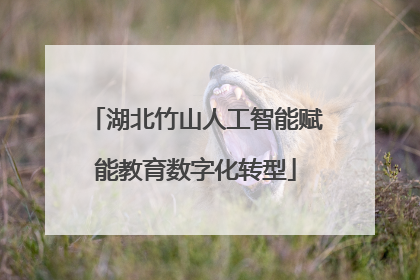 湖北竹山人工智能赋能教育数字化转型