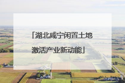 湖北咸宁闲置土地激活产业新动能