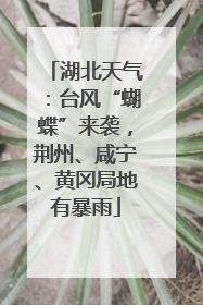 湖北天气：台风“蝴蝶”来袭，荆州、咸宁、黄冈局地有暴雨