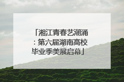 湘江青春艺潮涌：第六届湖南高校毕业季美展启幕