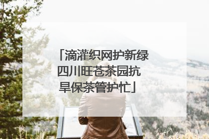 滴灌织网护新绿 四川旺苍茶园抗旱保茶管护忙