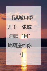 满城月季开！一张威海追“月”地图送给你→