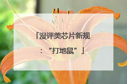 漫评美芯片新规：“打地鼠”