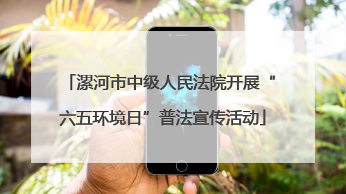 漯河市中级人民法院开展“六五环境日”普法宣传活动
