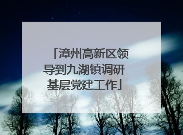 漳州高新区领导到九湖镇调研基层党建工作