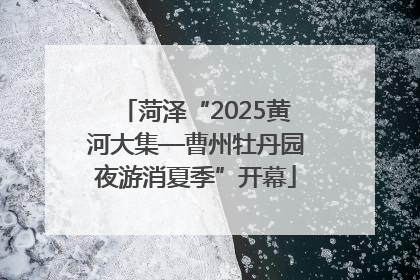 菏泽“2025黄河大集—曹州牡丹园夜游消夏季”开幕