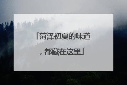 菏泽初夏的味道，都藏在这里