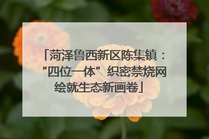 菏泽鲁西新区陈集镇：“四位一体”织密禁烧网 绘就生态新画卷