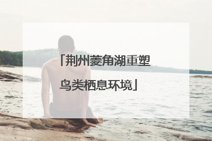 荆州菱角湖重塑鸟类栖息环境