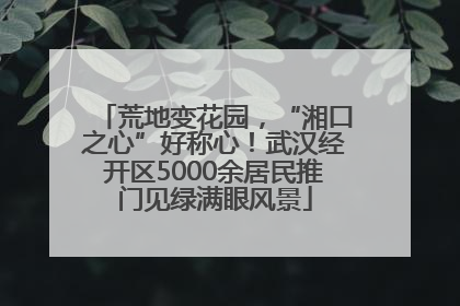 荒地变花园,“湘口之心”好称心!武汉经开区5000余居民推门见绿满眼风景