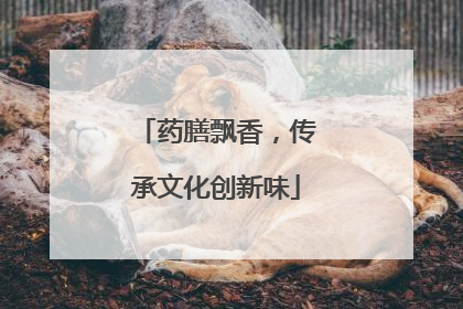 药膳飘香，传承文化创新味