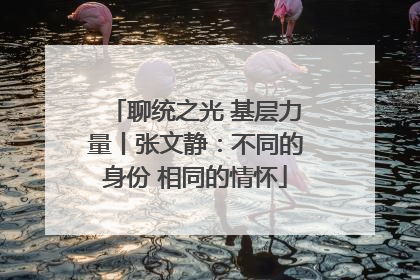 聊统之光 基层力量丨张文静：不同的身份 相同的情怀
