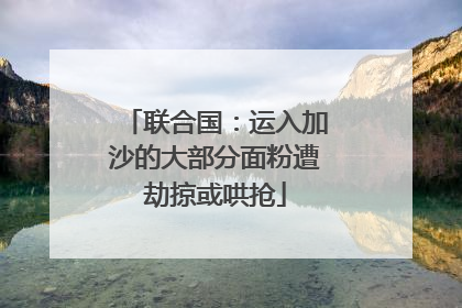 联合国：运入加沙的大部分面粉遭劫掠或哄抢