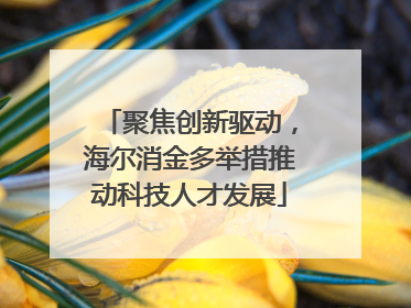 聚焦创新驱动，海尔消金多举措推动科技人才发展