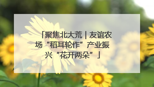 聚焦北大荒｜友谊农场“稻耳轮作”产业振兴“花开两朵”