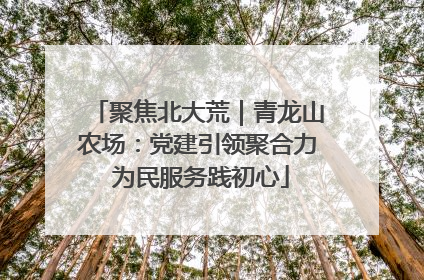 聚焦北大荒｜青龙山农场：党建引领聚合力 为民服务践初心