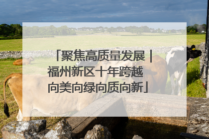 聚焦高质量发展｜福州新区十年跨越 向美向绿向质向新