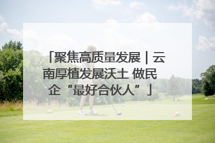 聚焦高质量发展｜云南厚植发展沃土 做民企“最好合伙人”