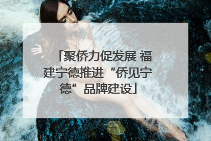 聚侨力促发展 福建宁德推进“侨见宁德”品牌建设