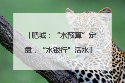 肥城：“水预算”定盘，“水银行”活水