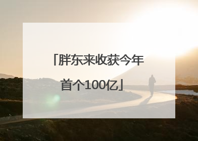 胖东来收获今年首个100亿