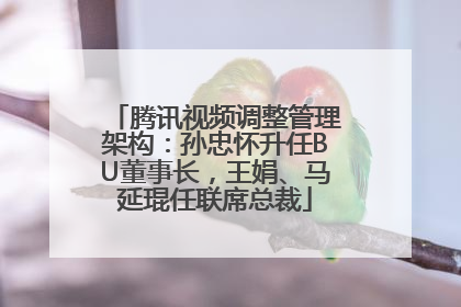 腾讯视频调整管理架构：孙忠怀升任BU董事长，王娟、马延琨任联席总裁