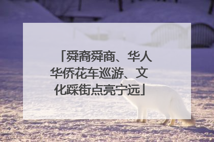 舜裔舜商、华人华侨花车巡游、文化踩街点亮宁远