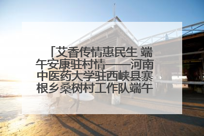 艾香传情惠民生 端午安康驻村情——河南中医药大学驻西峡县寨根乡桑树村工作队端午中医惠民记