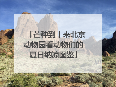 芒种到丨来北京动物园看动物们的夏日纳凉图鉴