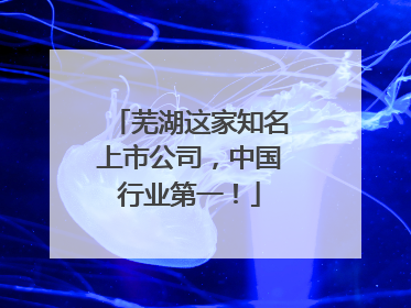 芜湖这家知名上市公司，中国行业第一！