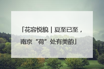 花容悦貌｜夏至已至，南京“荷”处有美韵