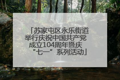 苏家屯区永乐街道举行庆祝中国共产党成立104周年暨庆“七一”系列活动