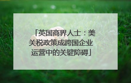 英国商界人士：美关税政策成跨国企业运营中的关键障碍