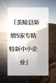 茶陵县新增5家专精特新中小企业