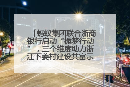 蚂蚁集团联合浙商银行启动“栀梦行动”，三个维度助力浙江下姜村建设共富示范区示范点