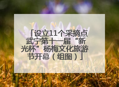 设立11个采摘点 武宁第十一届“新光杯”杨梅文化旅游节开幕（组图）