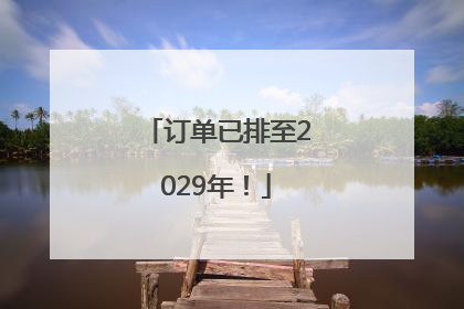订单已排至2029年！