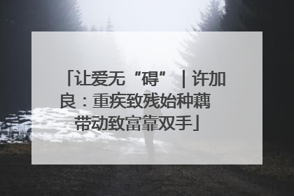 让爱无“碍”｜许加良：重疾致残始种藕 带动致富靠双手