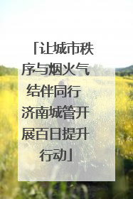 让城市秩序与烟火气结伴同行 济南城管开展百日提升行动