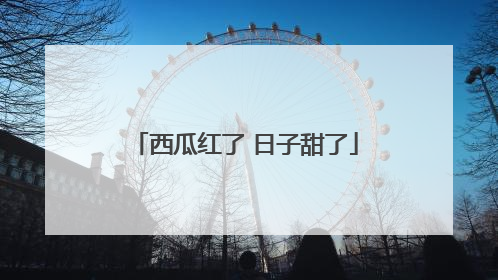 西瓜红了 日子甜了