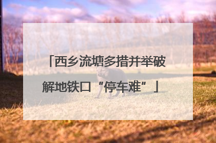 西乡流塘多措并举破解地铁口“停车难”
