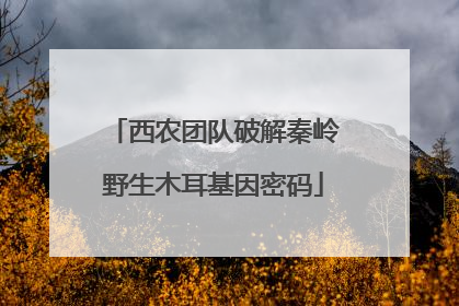 西农团队破解秦岭野生木耳基因密码