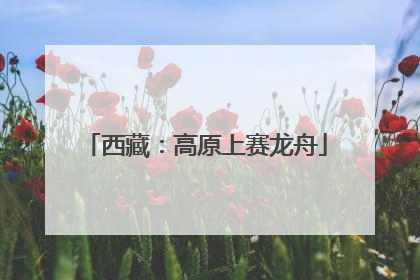 西藏：高原上赛龙舟