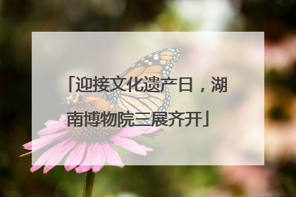 迎接文化遗产日，湖南博物院三展齐开