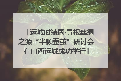 运城时装周·寻根丝绸之源“半颗蚕茧”研讨会在山西运城成功举行