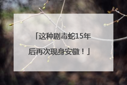 这种剧毒蛇15年后再次现身安徽！